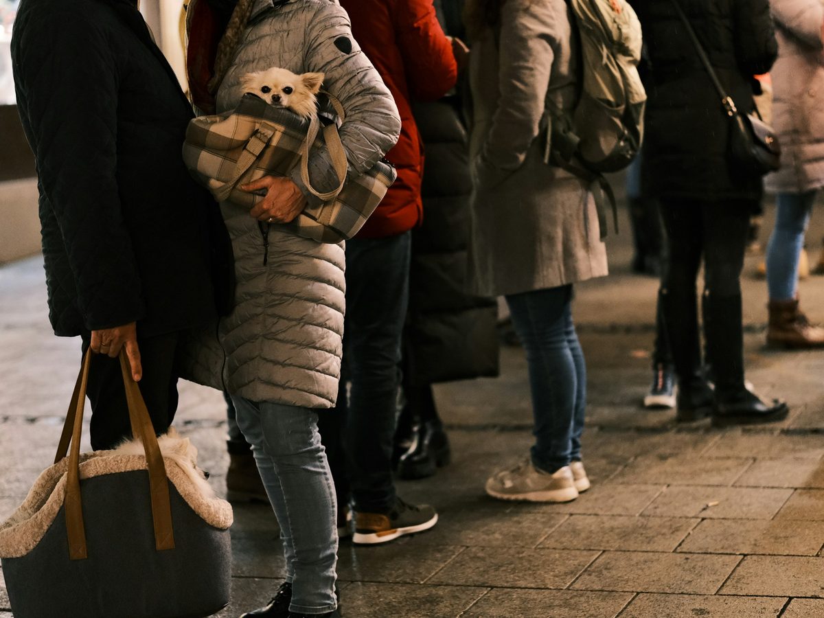 Une file d’attente, manteaux d’hiver, cadrée sous le menton.